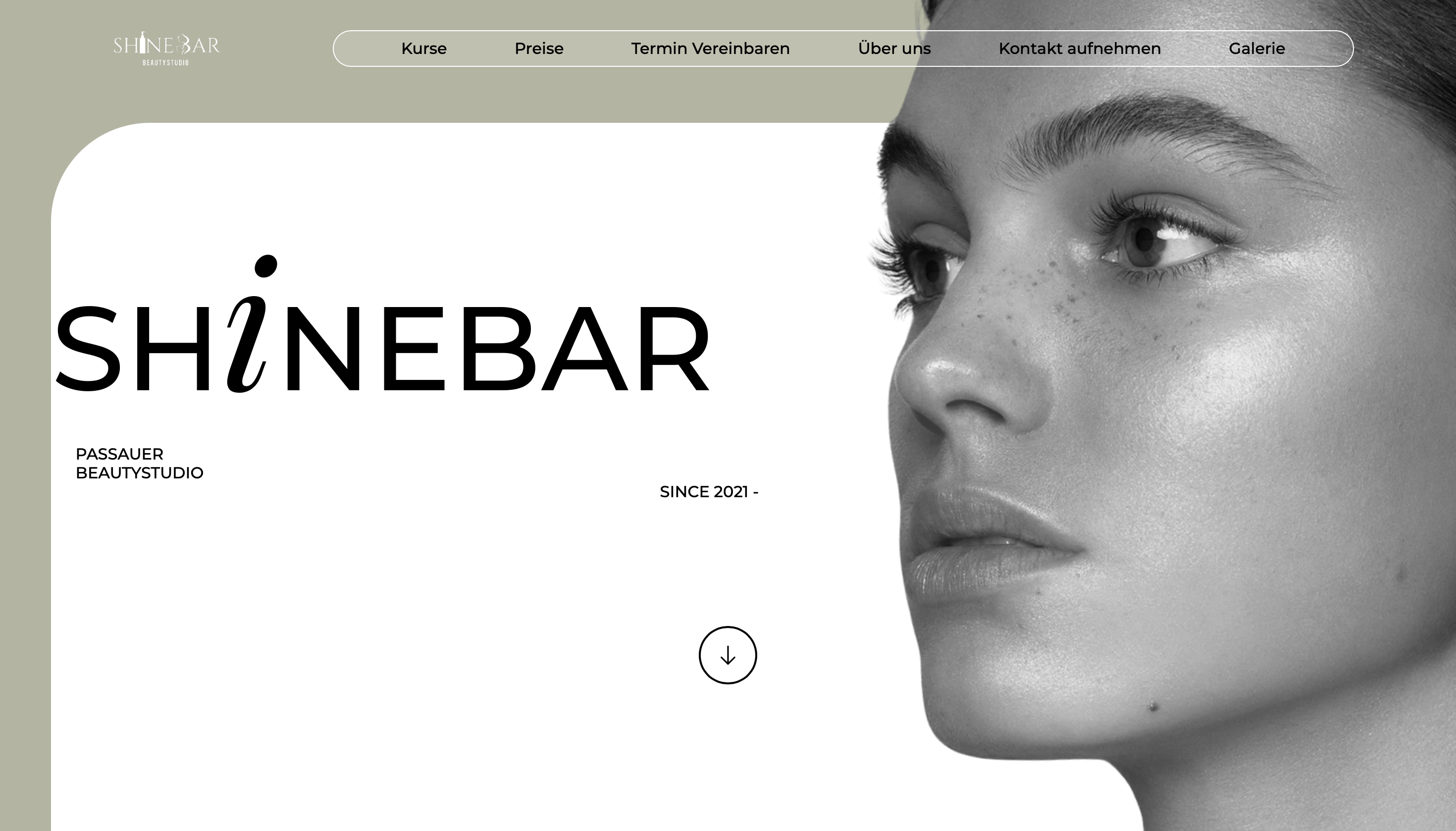 Website Screenshot www.shinebarpassau.de